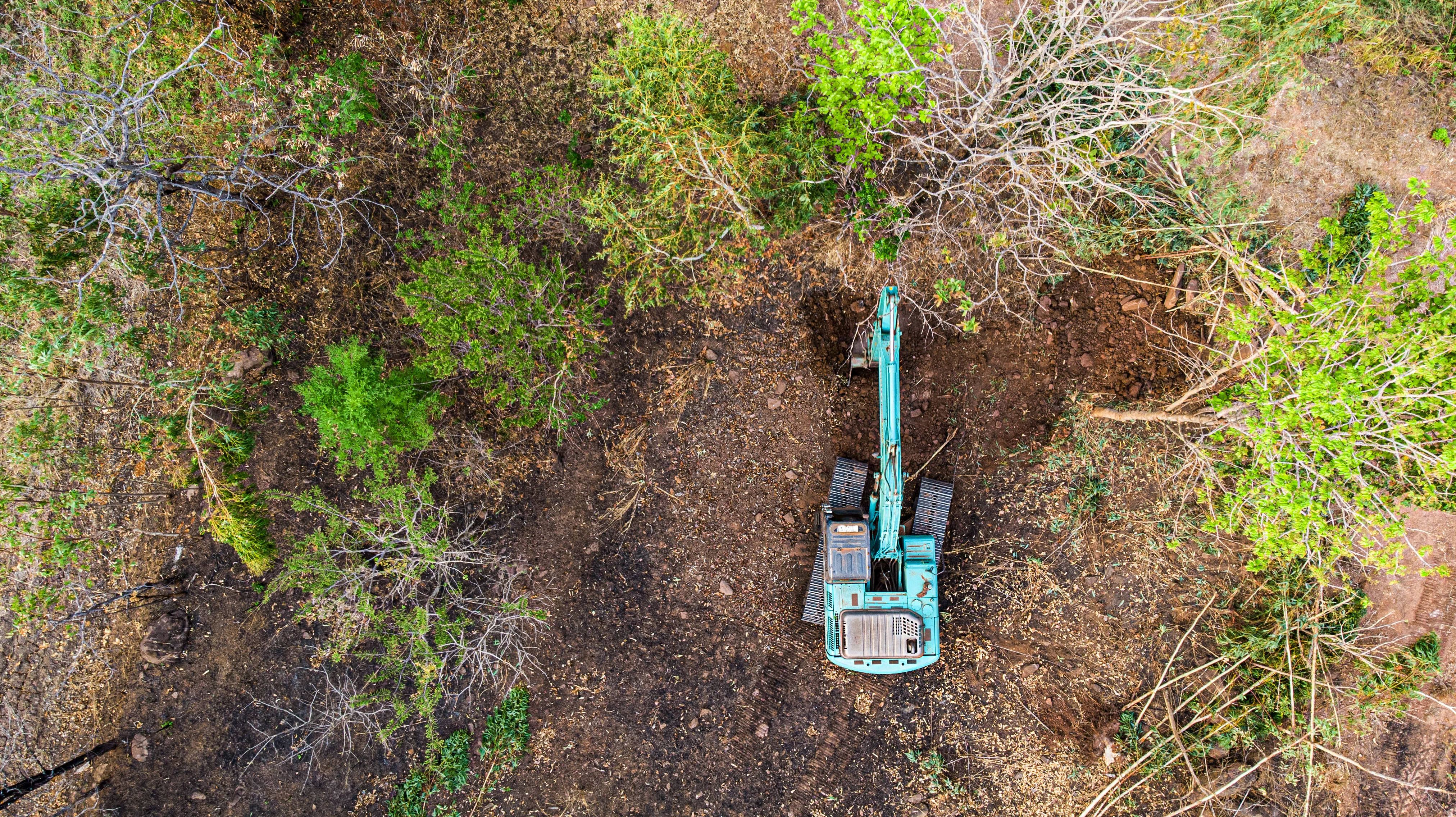 Alpine wildfire protection and brush clearing services in South Lake Tahoe
