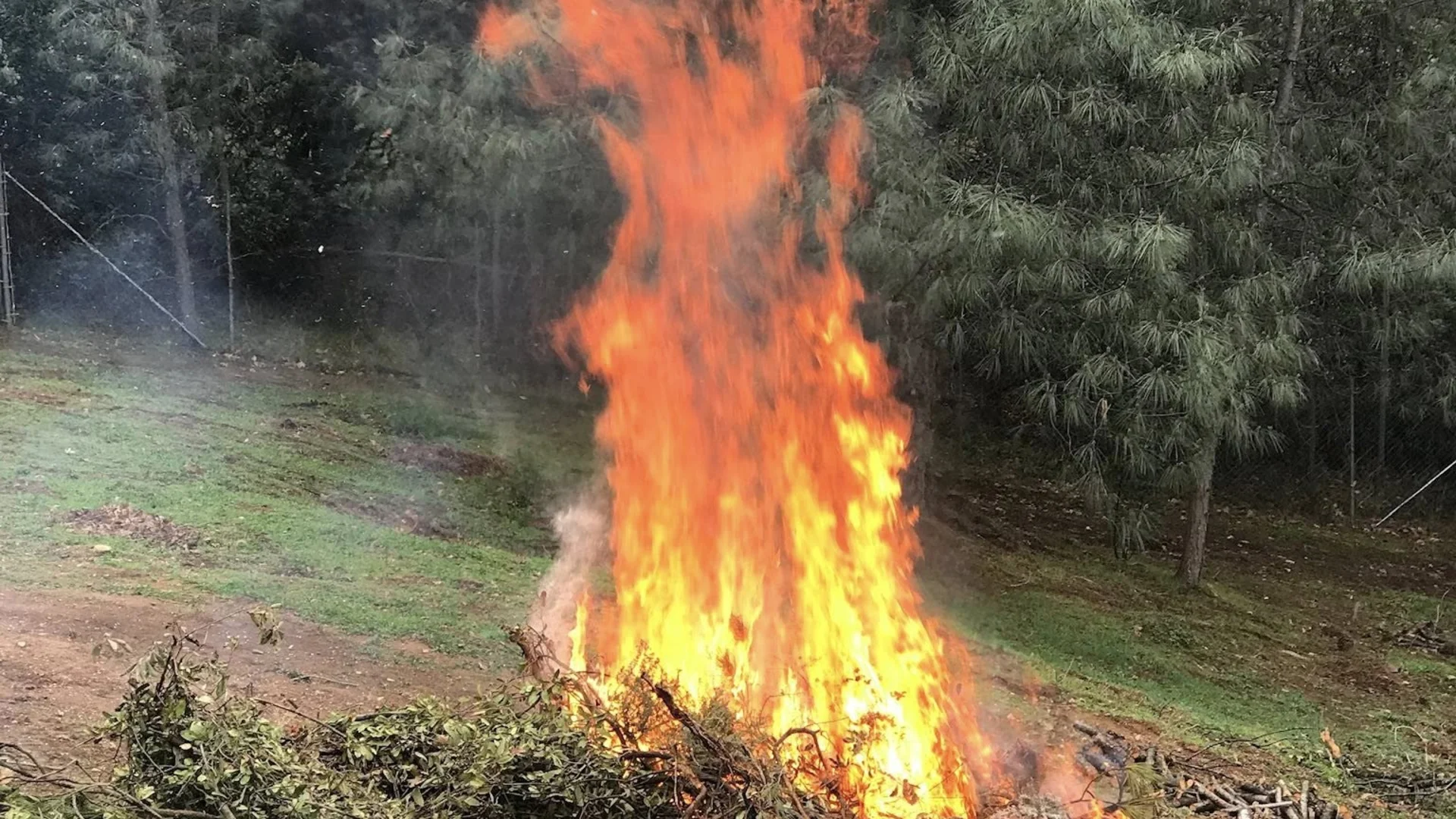 Controlled brush pile burning and debris removal service in El Dorado County California