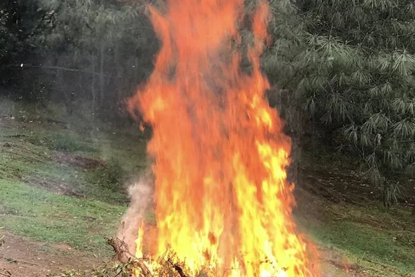 Controlled brush pile burning and debris removal service in El Dorado County California