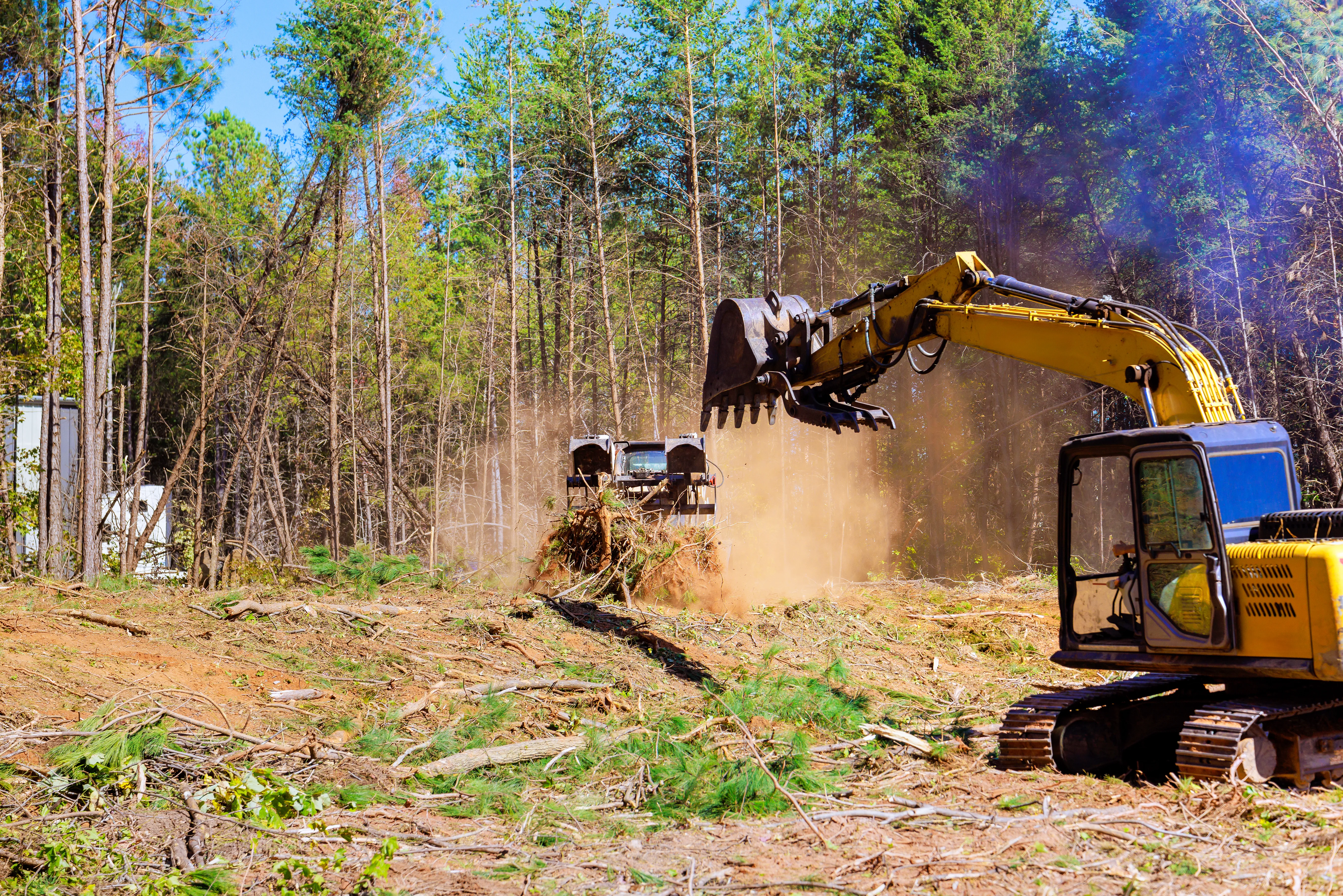 Tree removal and land preparation services in Georgetown Mother Lode El Dorado County