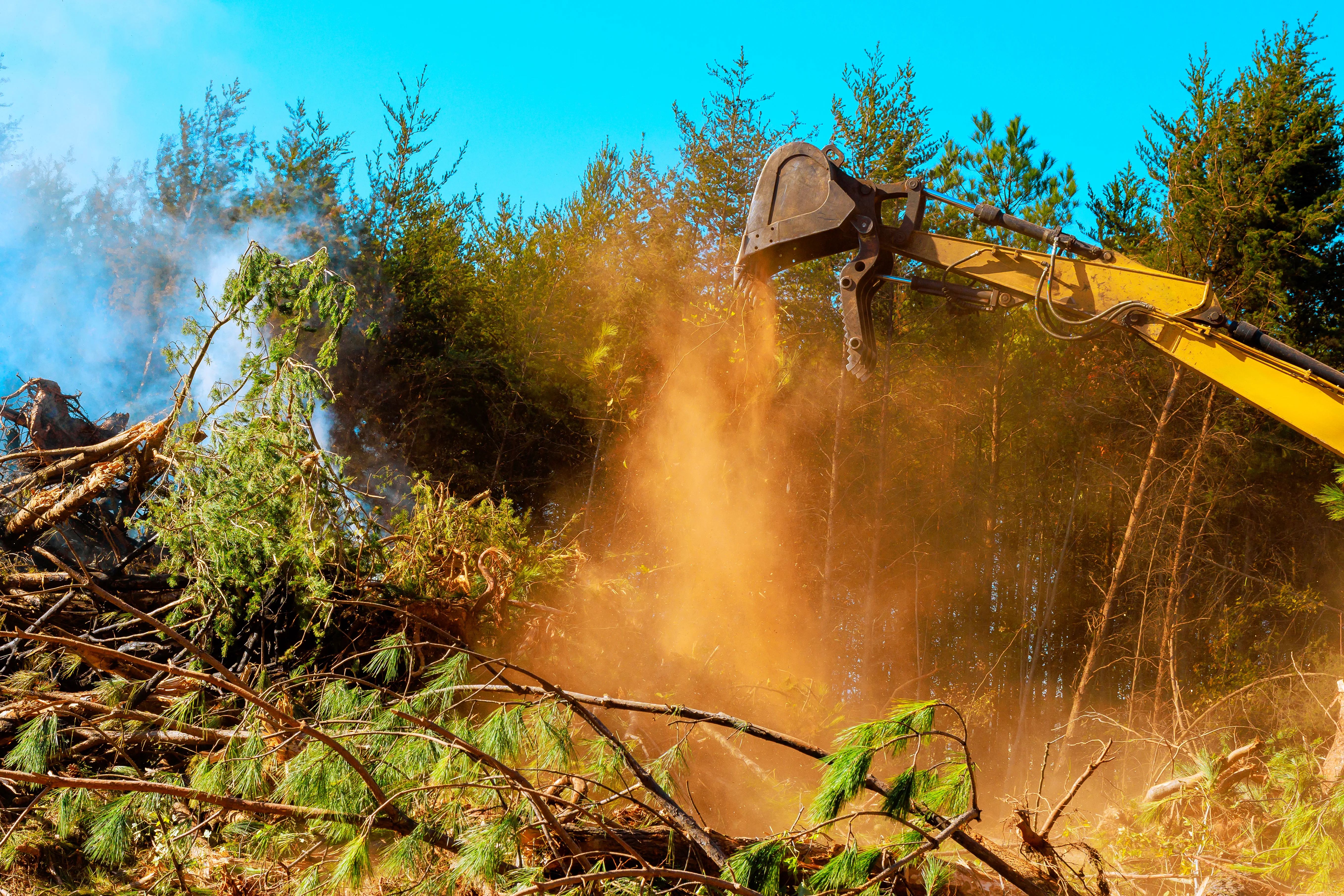 Professional land clearing services in El Dorado County - excavator removing trees for construction site preparation in Placerville California