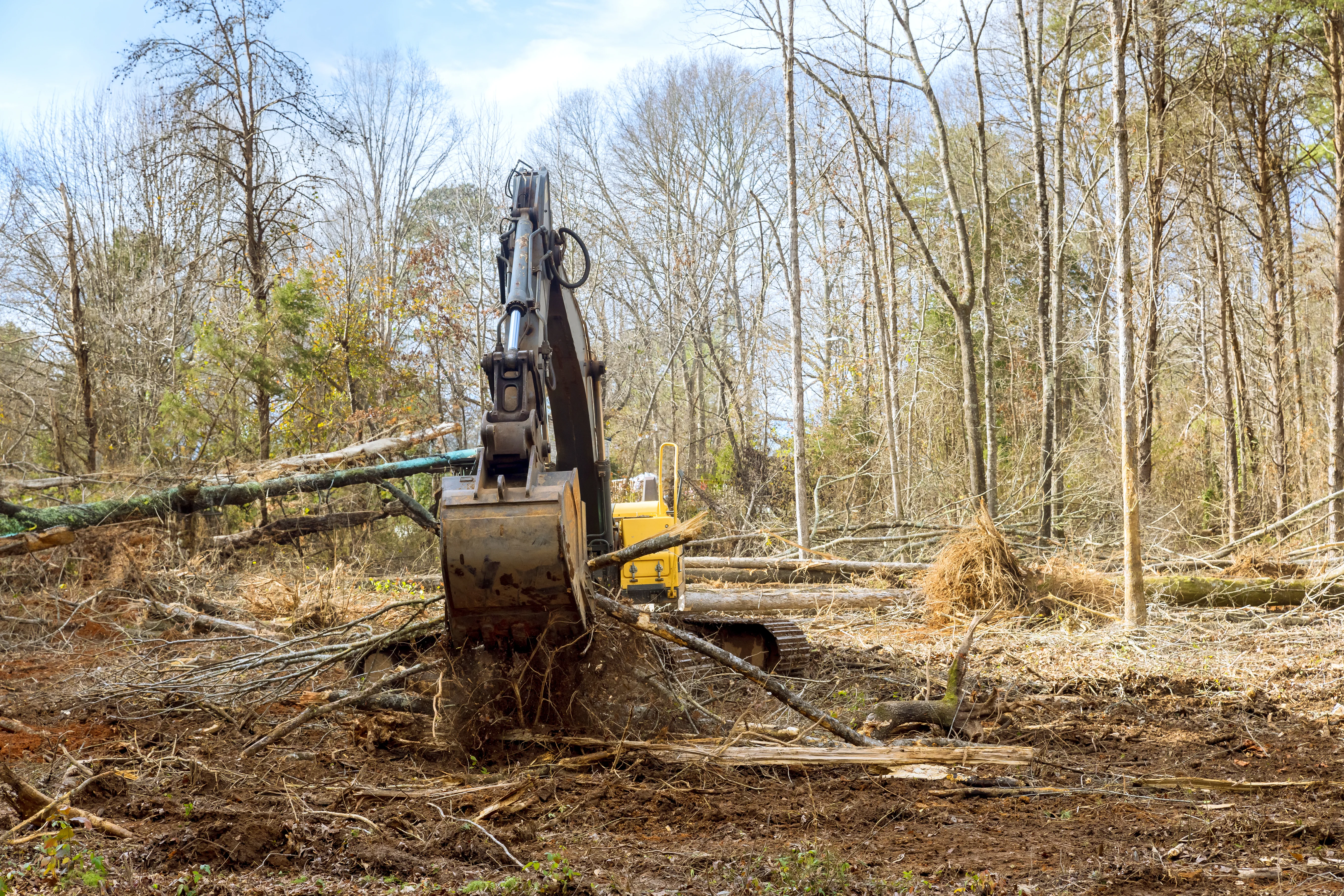 Professional tree removal services in El Dorado County - excavator safely removing trees in Cameron Park California