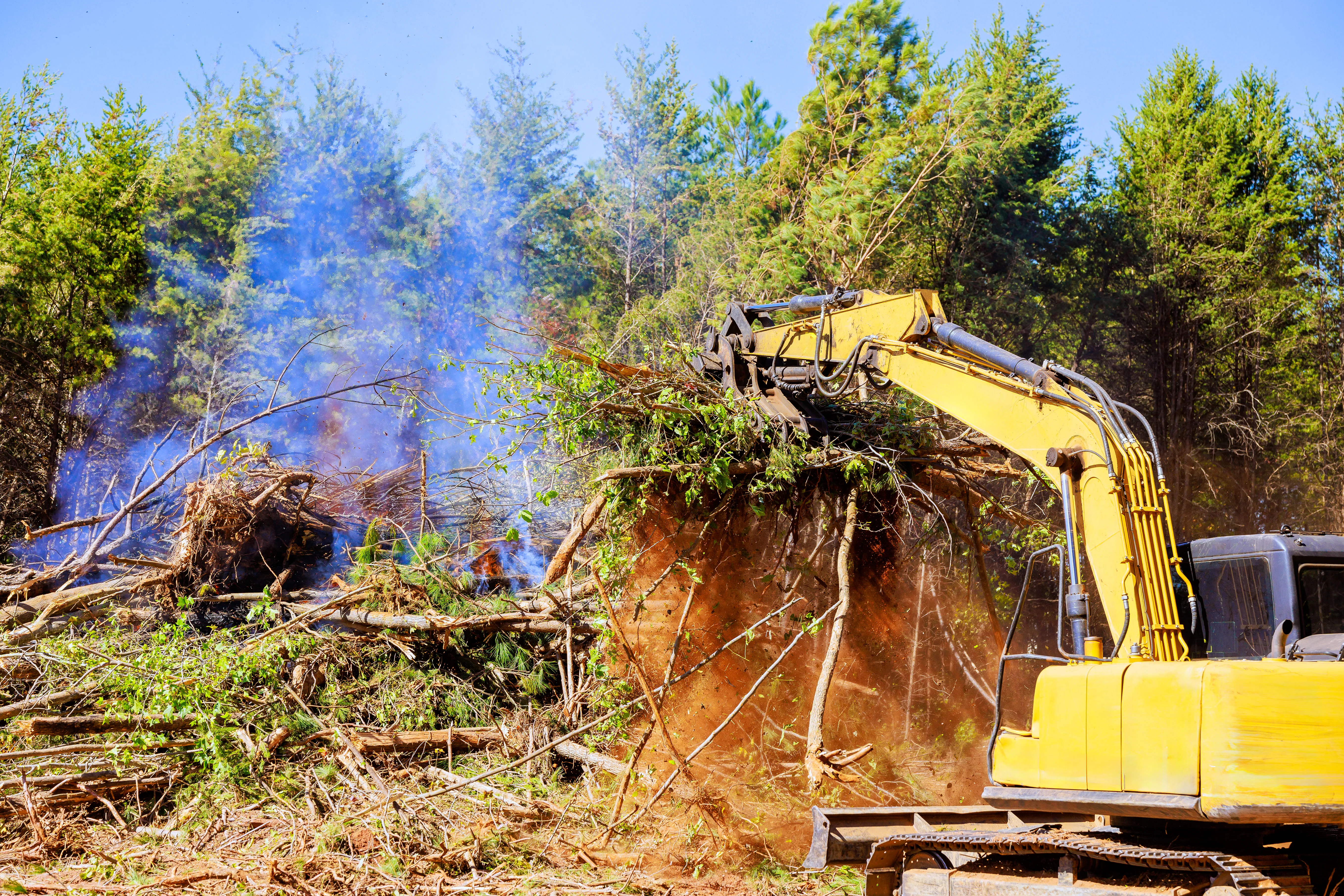 Professional land clearing and excavator services in Placerville, El Dorado County