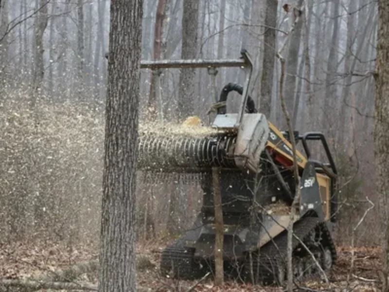 Compact track loader with forestry mulcher for vegetation management in Roseville California
