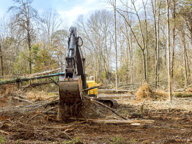Professional excavator equipment for tree removal and forest clearing in El Dorado County