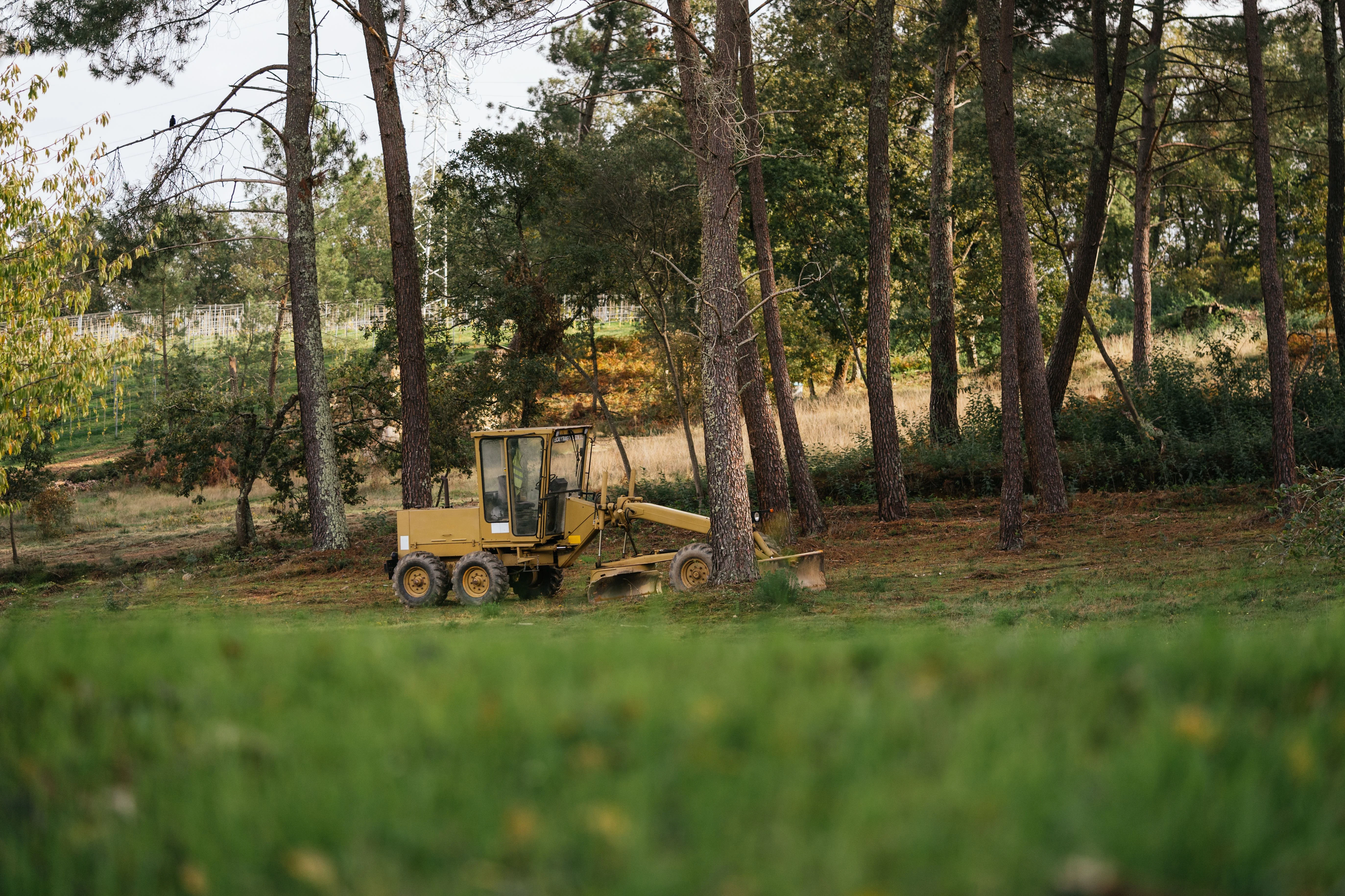 Wildfire defensible space and brush removal in Rancho Murieta, Sacramento County