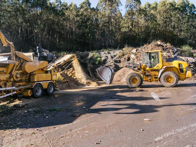 Vegetation Management in Coloma